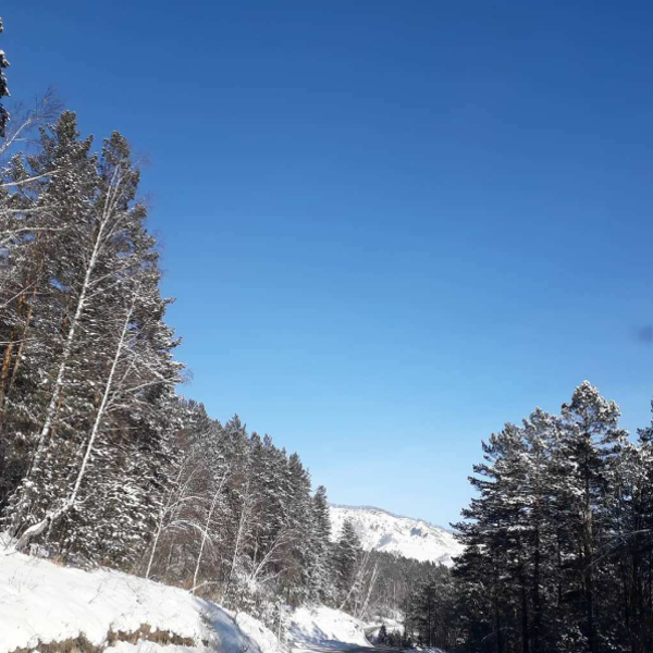 Фото отеля — Общие 2