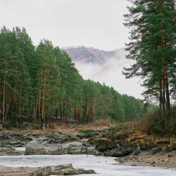 Фото отеля — Общие 4