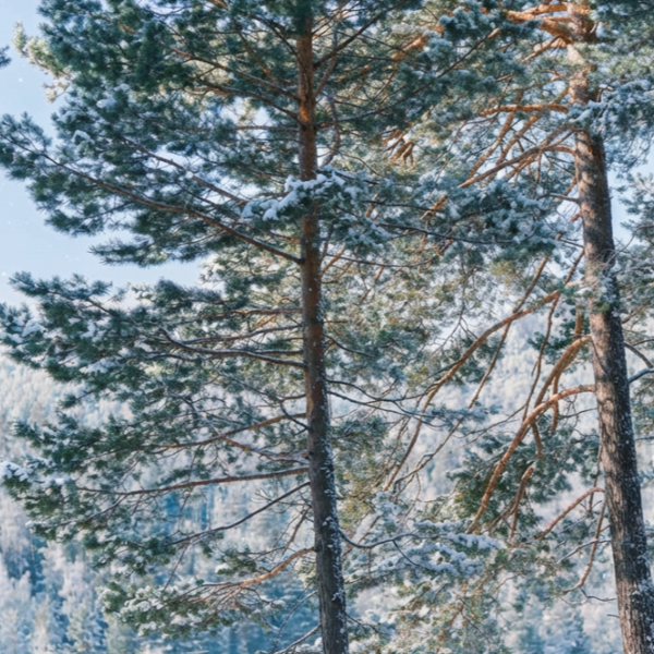 Фото отеля — Общие 2