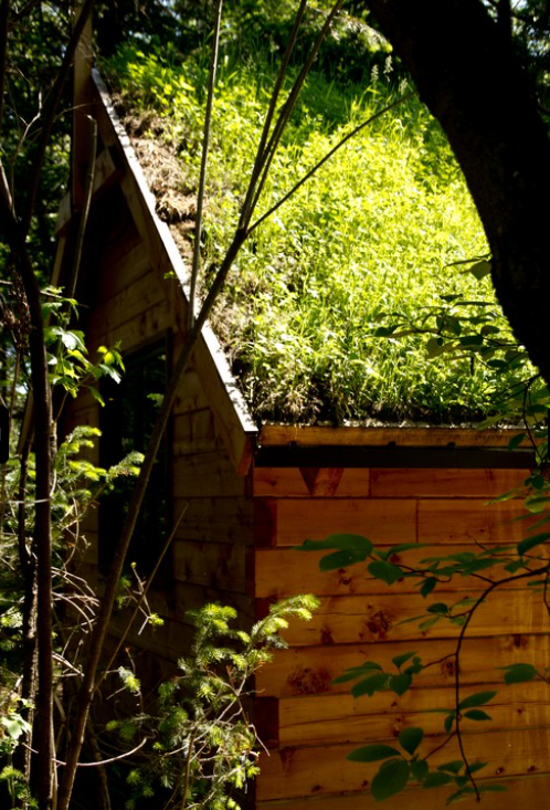 Дом-бунгало 