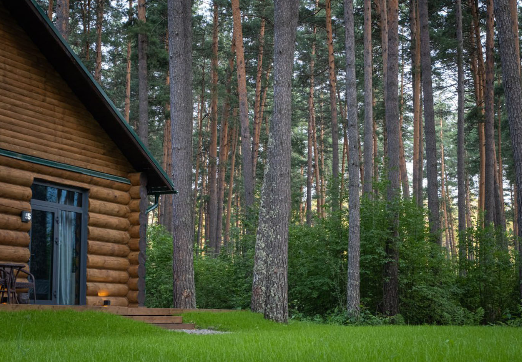 Фото жилья — Общие 1