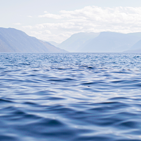 Фото отеля — Общие 5