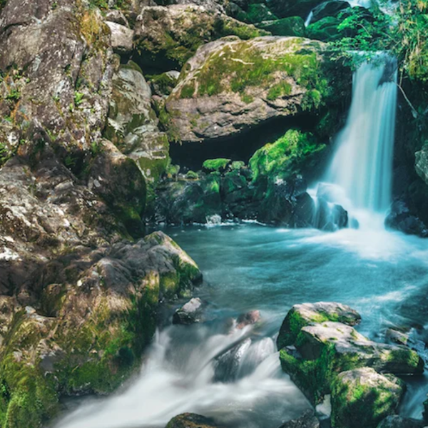 Фото отеля — Общие 4