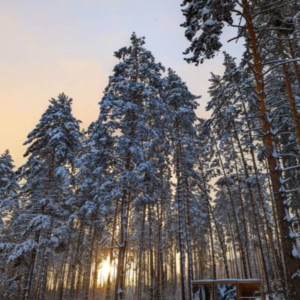 Фото жилья — Общие 1