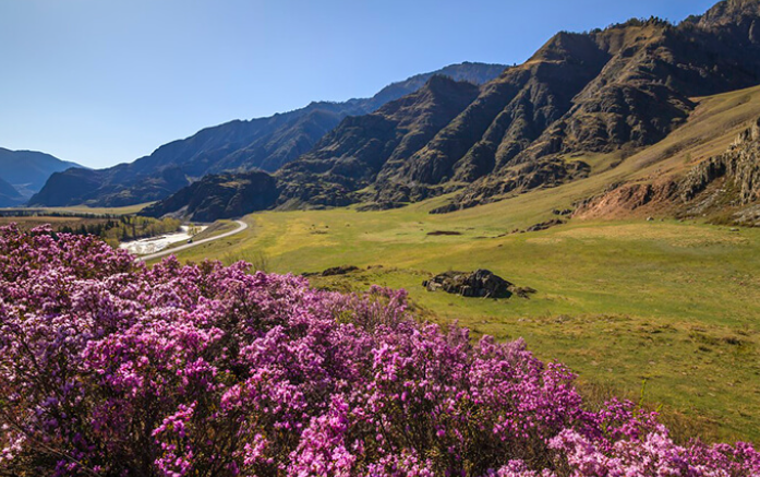 Фото отеля — Общие 4