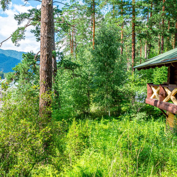 Фото жилья — Общие 1