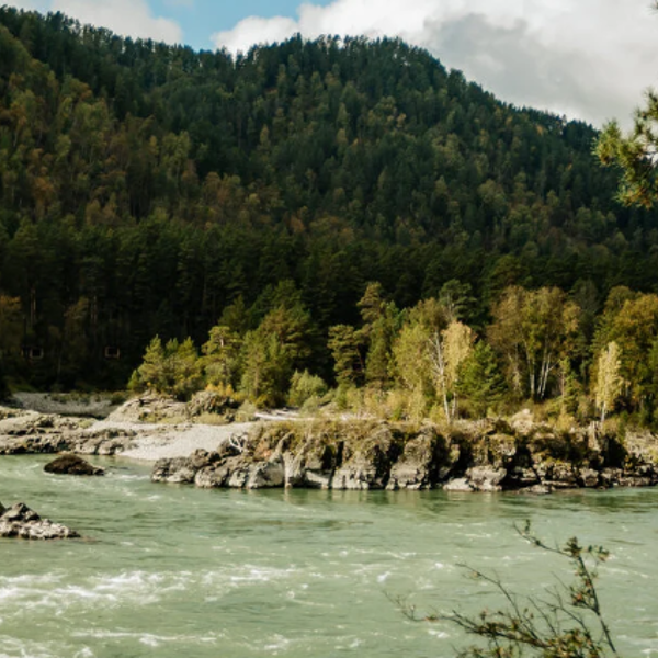 Фото отеля — Общие 3