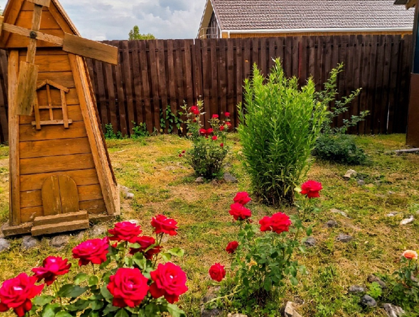 Три Клёна