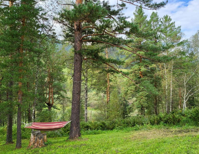 Фото отеля — Общие 5