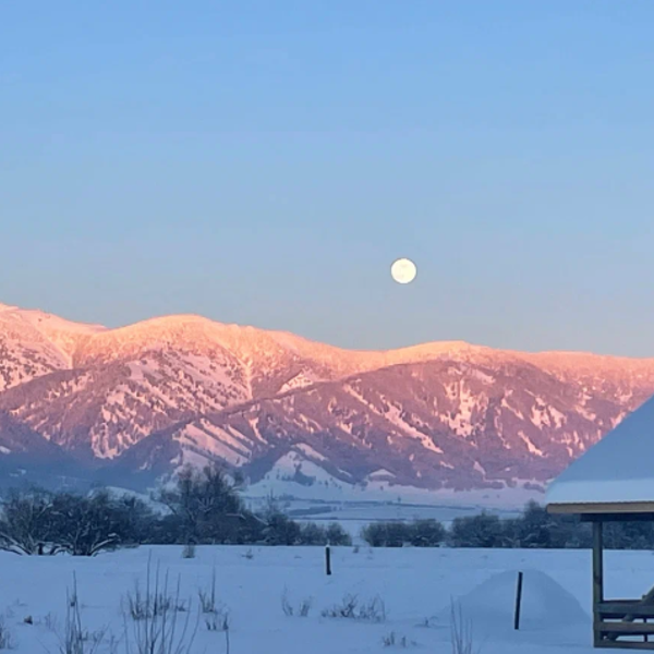 Фото отеля — Общие 2