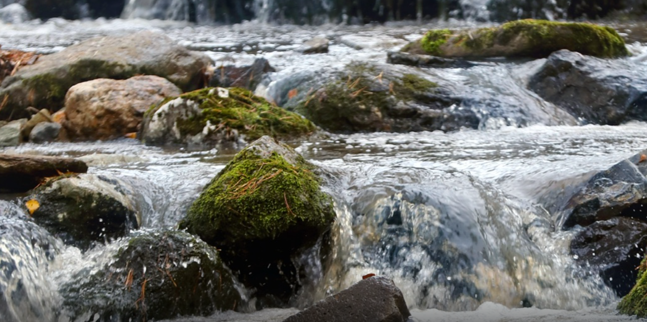 Фото отеля — Общие 1