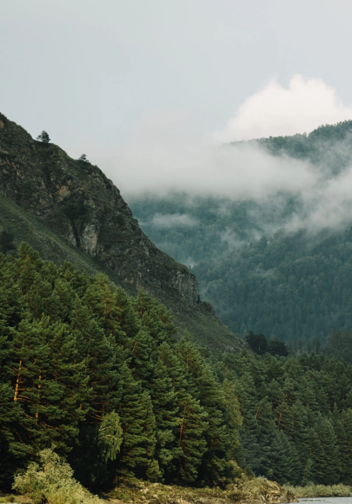 Фото отеля — Общие 1