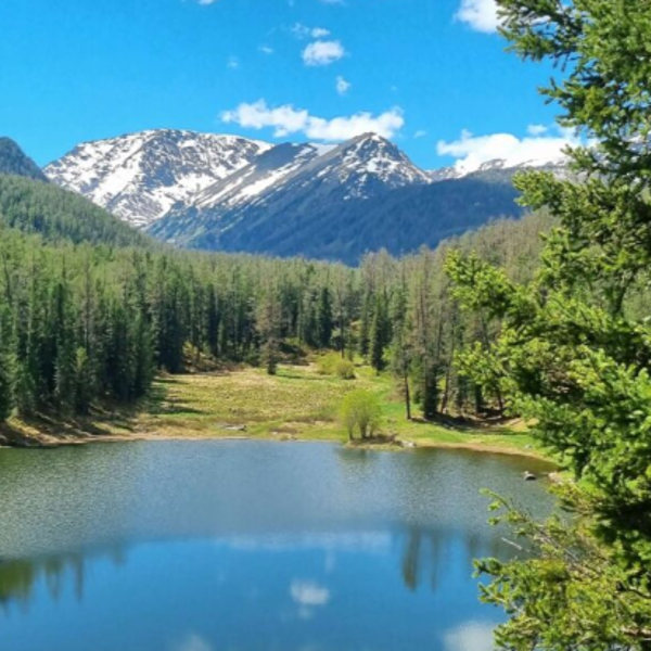 Фото отеля — Общие 1