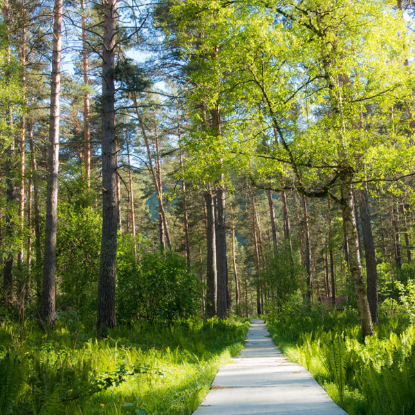 Фото отеля — Общие 2