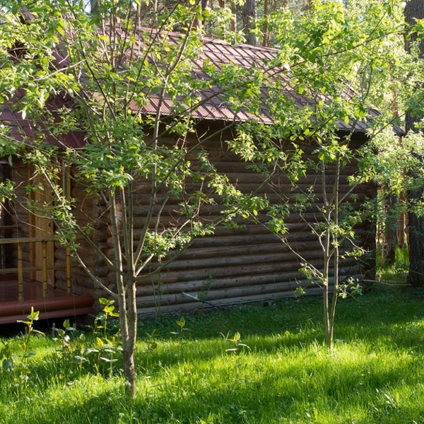 Фото отеля — Общие 4