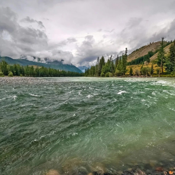 Фото отеля — Общие 1