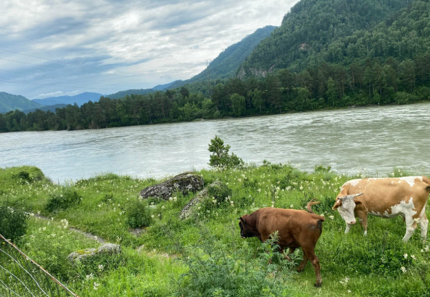 Фото отеля — Общие 1