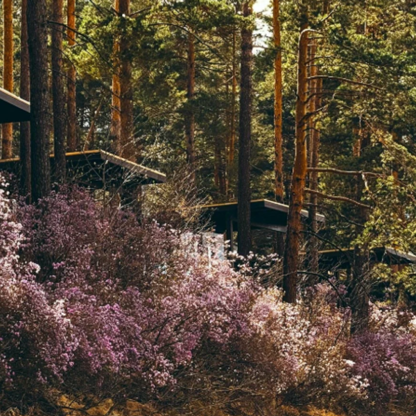 Фото отеля — Общие 4