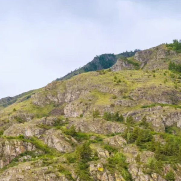 Фото отеля — Общие 1