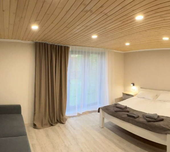 Панорама Лес+