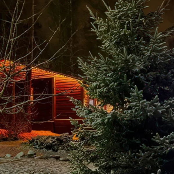 Фото отеля — Общие 4