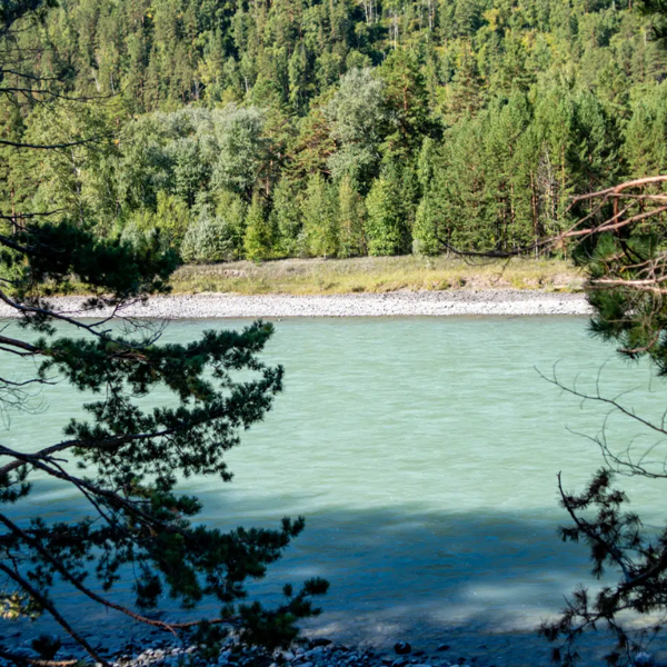 Фото отеля — Общие 1