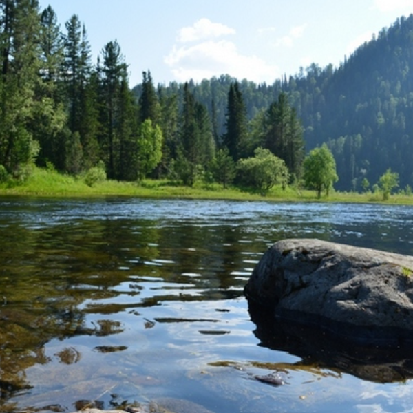 Фото отеля — Общие 1