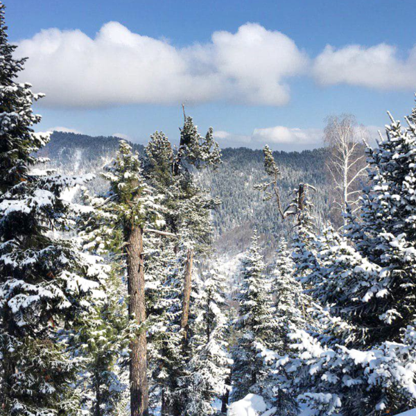 Фото отеля — Общие 2