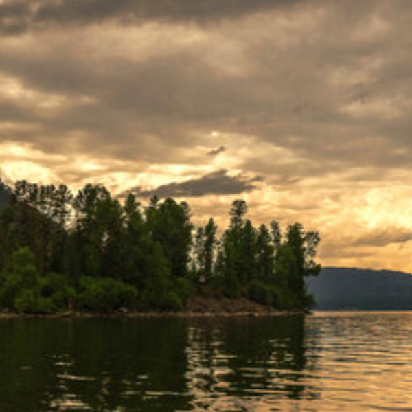 Фото отеля — Общие 3