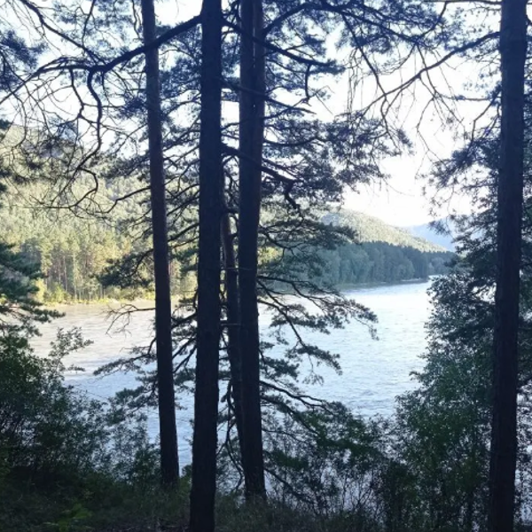 Фото отеля — Общие 1