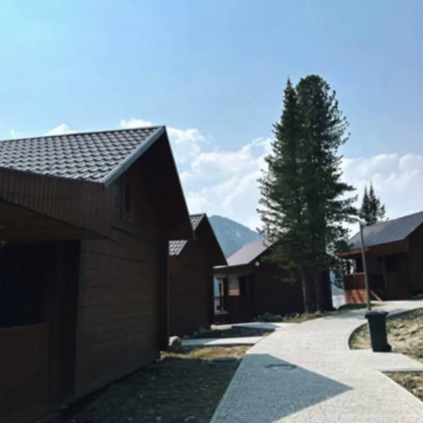 Кедровый дом 2+2