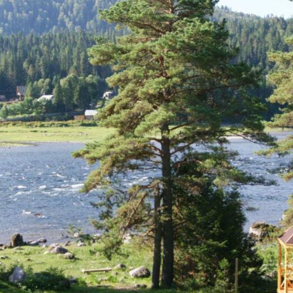 Фото отеля — Общие 3