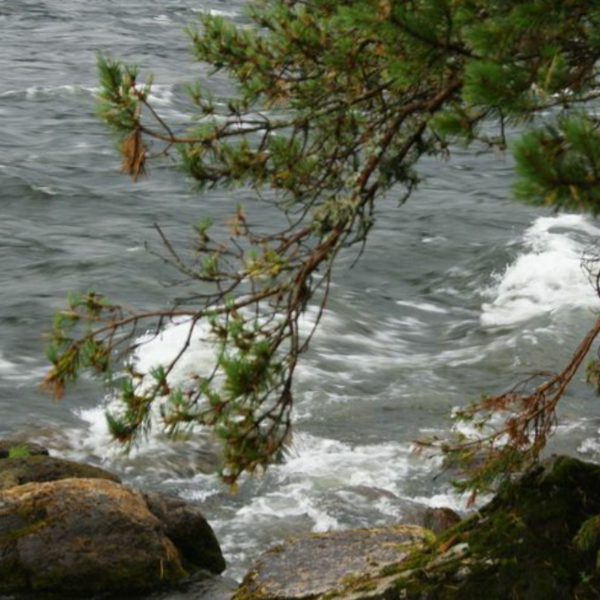 Фото отеля — Общие 2