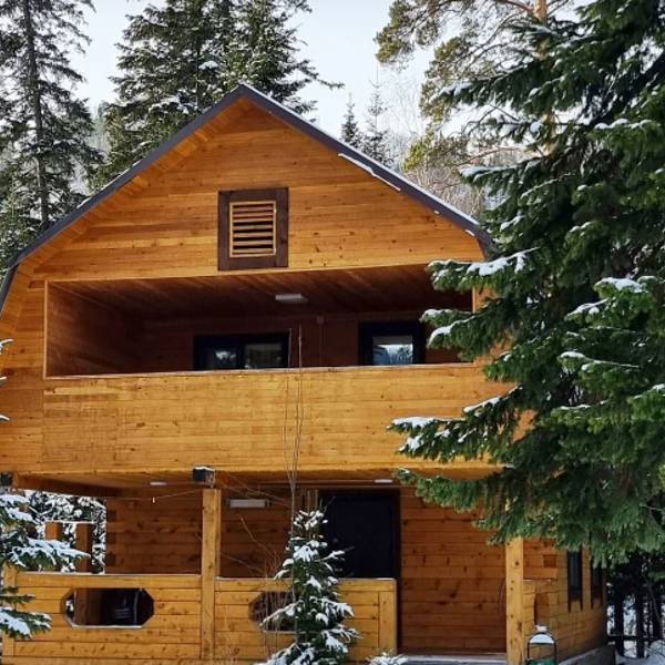 Кедровый дом