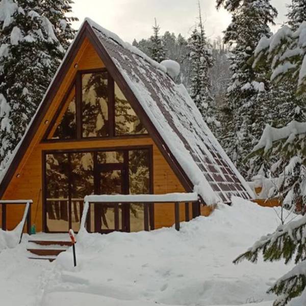 Шале из сосны