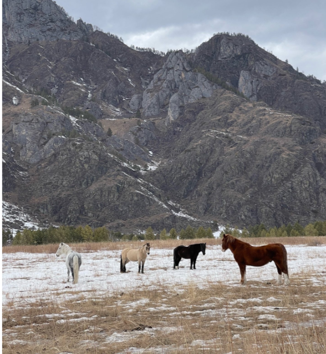 Фото отеля — Общие 3