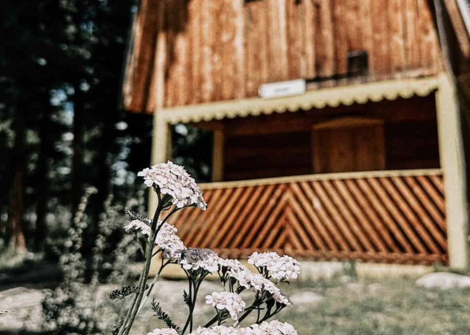 Фото номера Домик Фрай 1