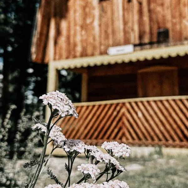 Фото жилья — Общие 1