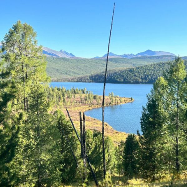 Фото отеля — Общие 1