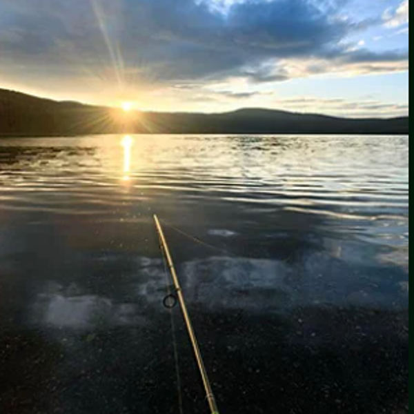 Фото отеля — Общие 2